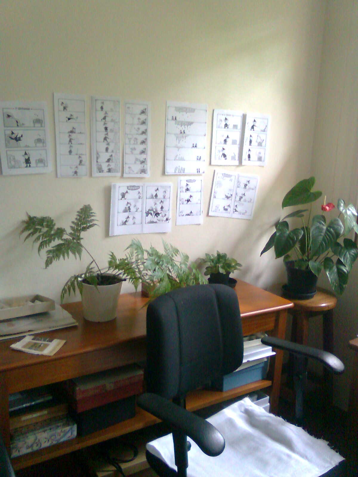 This is Eva’s studio. To write, there’s silence; to draw, usually a radio playing classical music or an interview program.