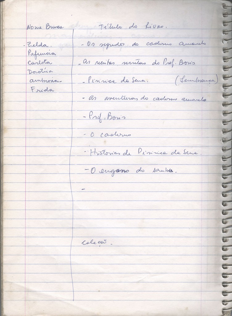 Encontramos esse caderno com listas de nomes para a Zelda e o Bóris. E você, que nomes escolheria?
