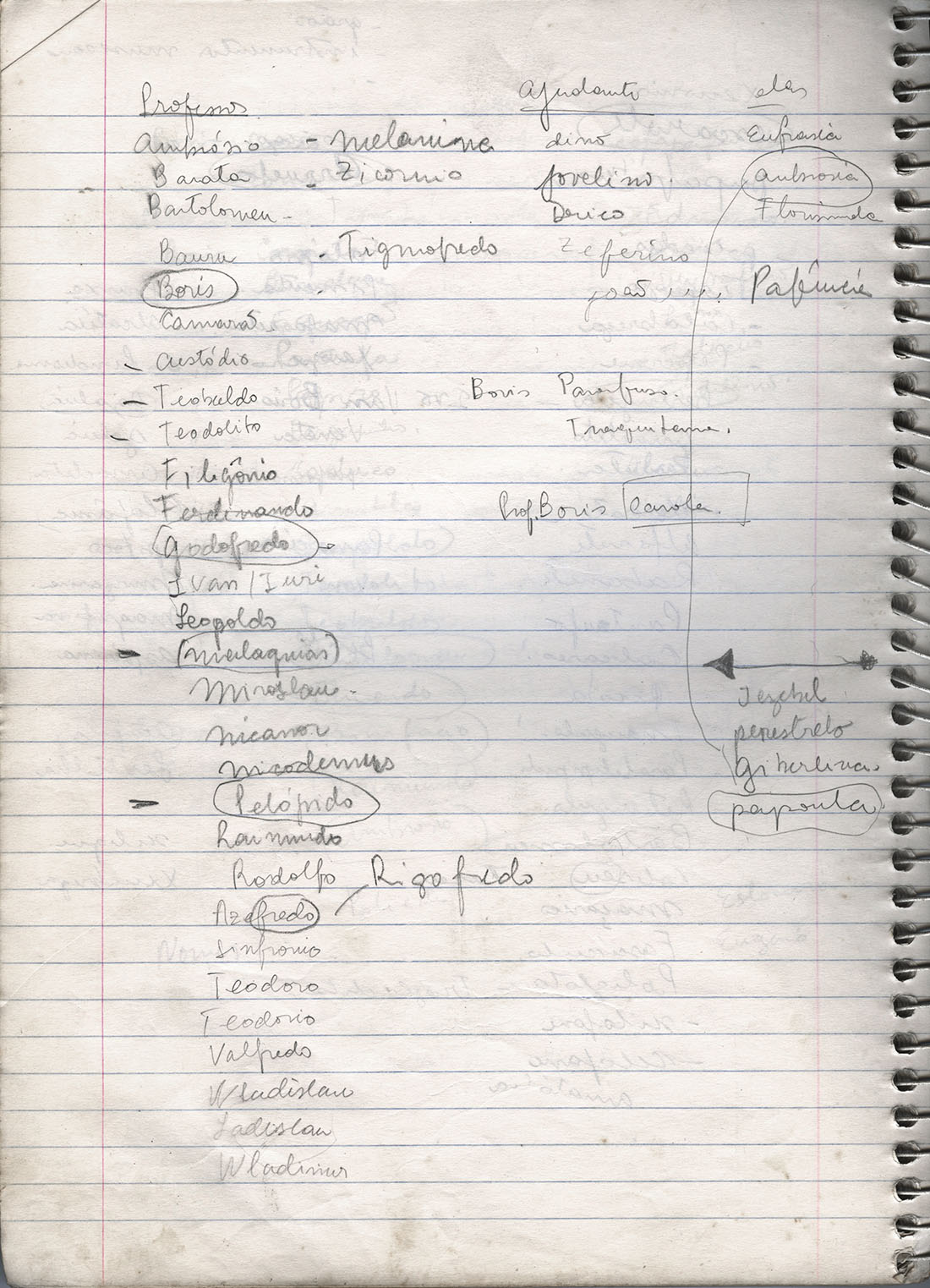 Encontramos esse caderno com listas de nomes para a Zelda e o Bóris. E você, que nomes escolheria?