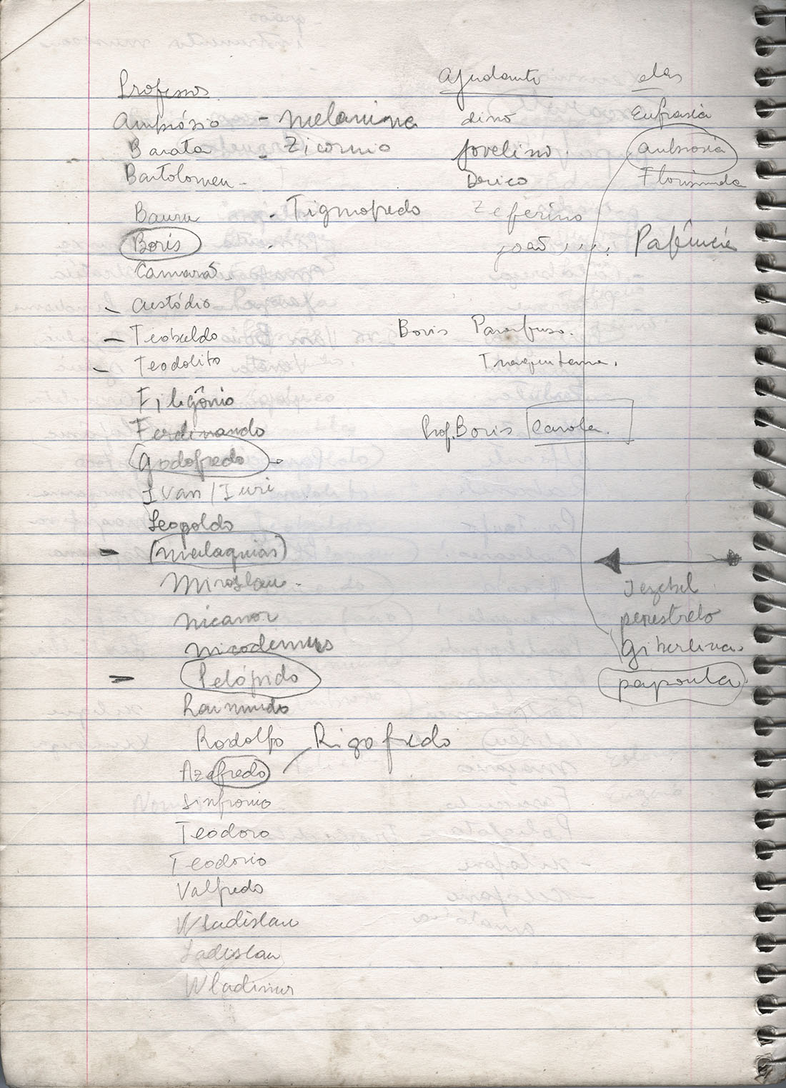 We have found this notebook with lists of names for Zelda and Boris. Which name would you choose?