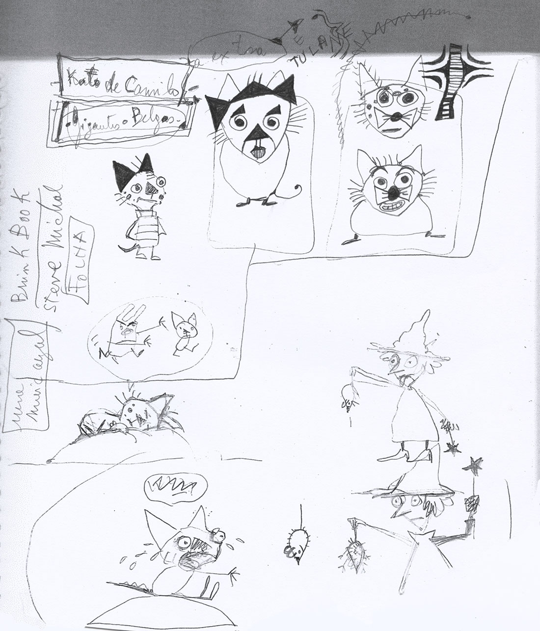 Cats are creatures full of personality. Check out how many sketches were drawn to find Miú!